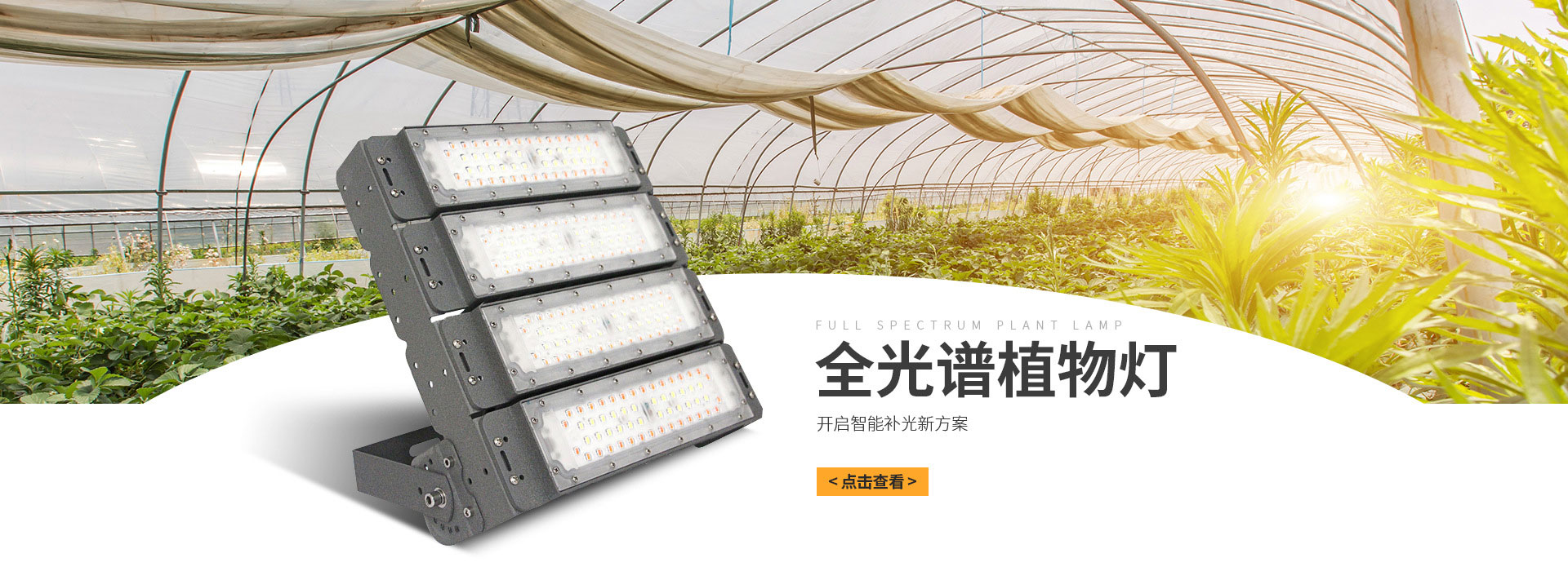 Xinshuo plant lamp