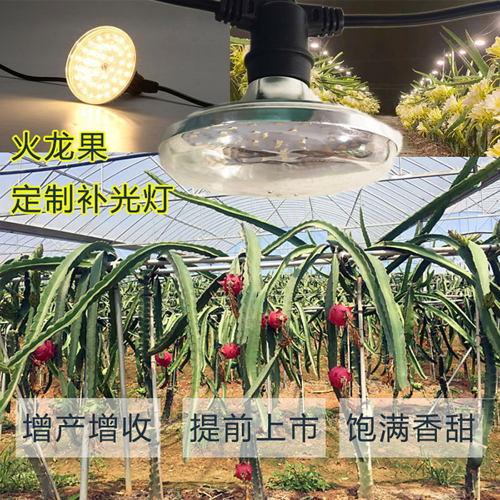 XS-F120 Dragon Fruit Lamp