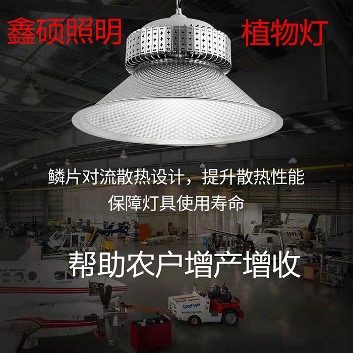 High Power LED Grow Light