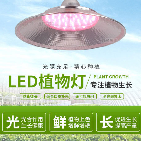 LED Grow Lights