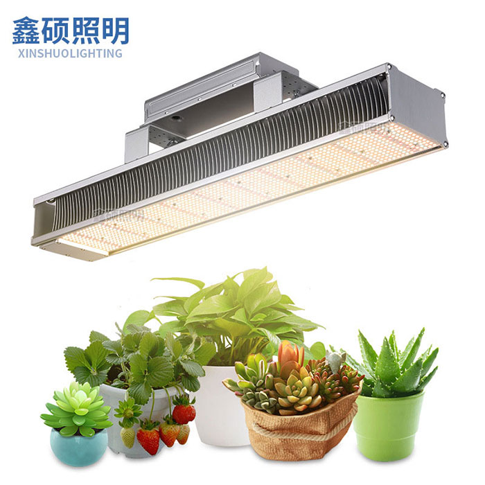 640W/320W Rectangular Grow Light